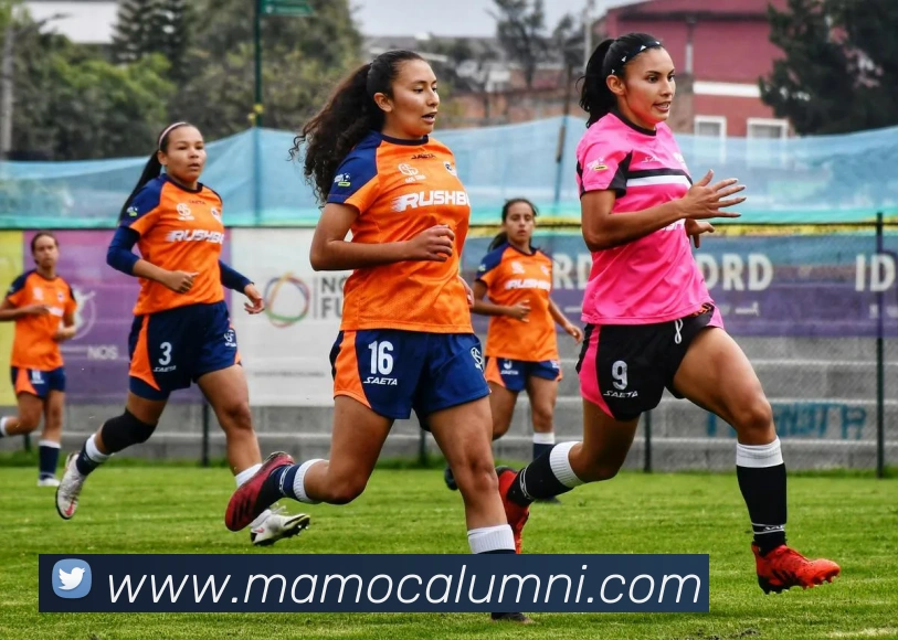 乐鱼手机官网入口leyuAPP 高清赛事图